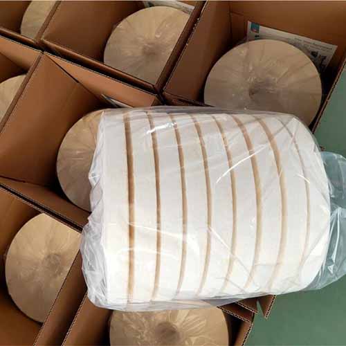 Alternative A Type Cellulose Filter Inserts